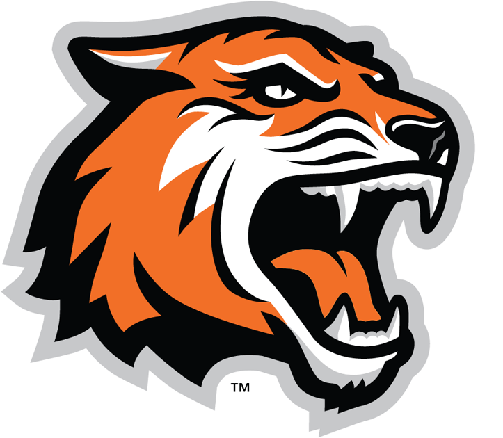 RIT Tigers 2004-Pres Alternate Logo v2 diy fabric transfer